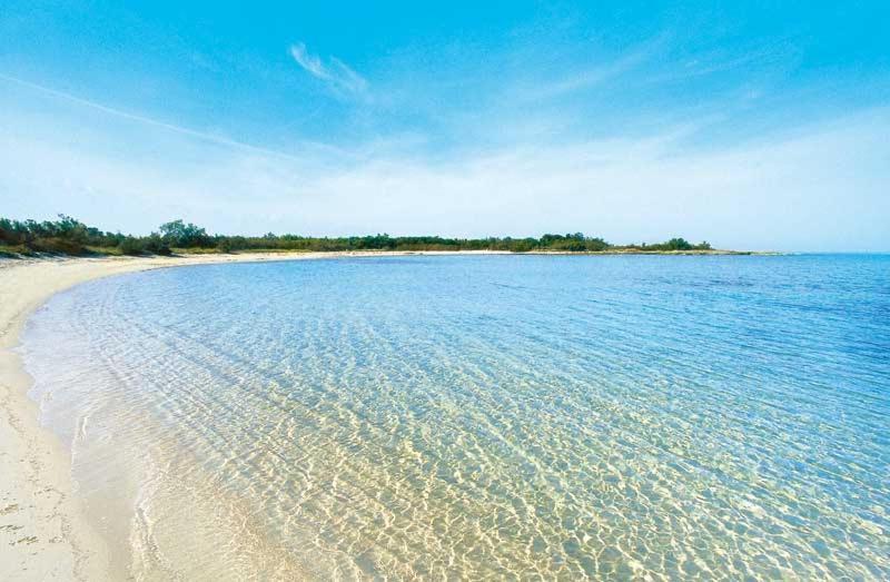 La Dimora Di Netta Villa Carovigno Exteriör bild